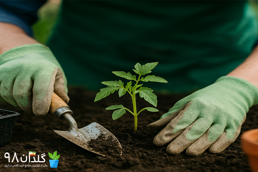 دوره جامع آموزش باغبانی
