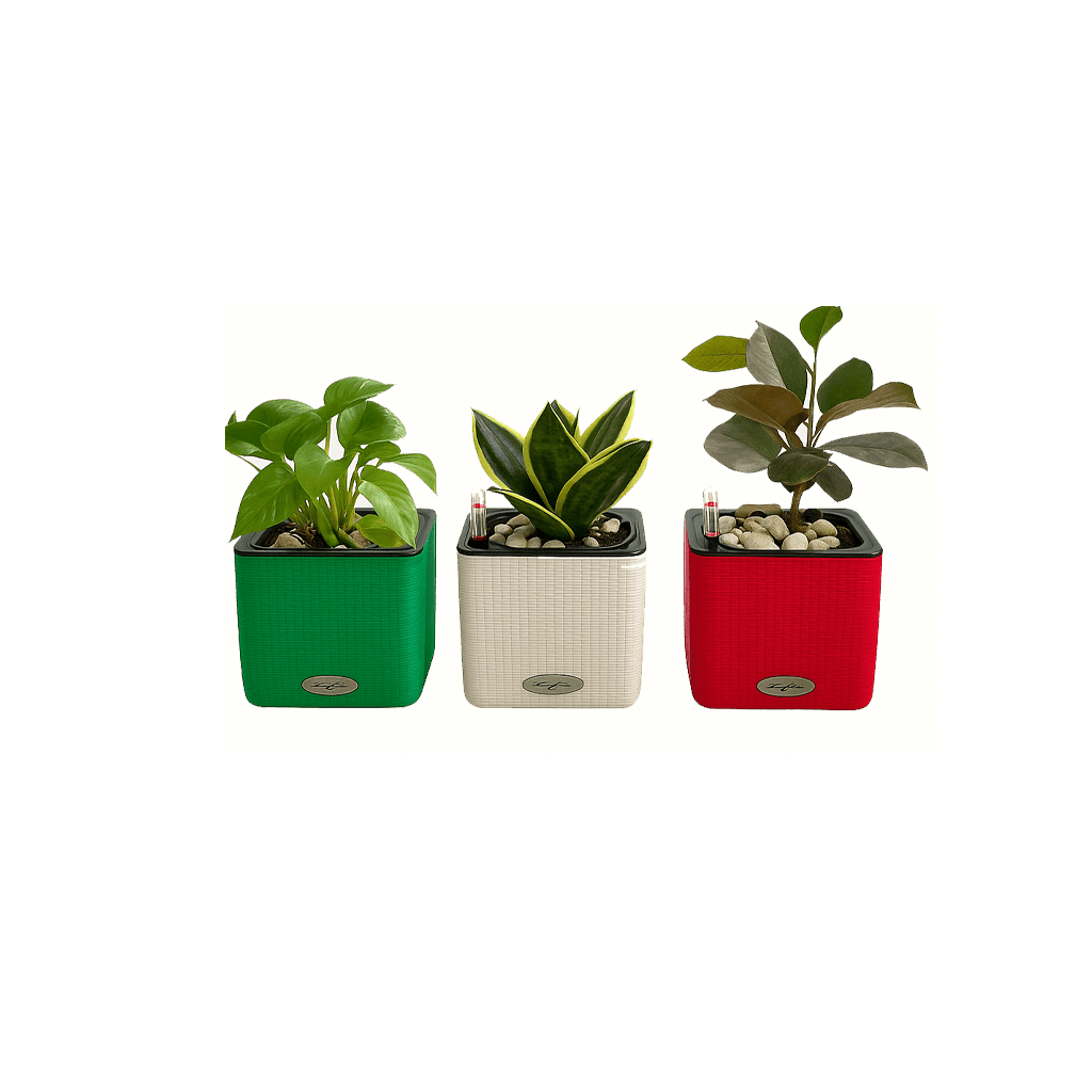 گلدان خودآبیار لچوزا مدل مربعی