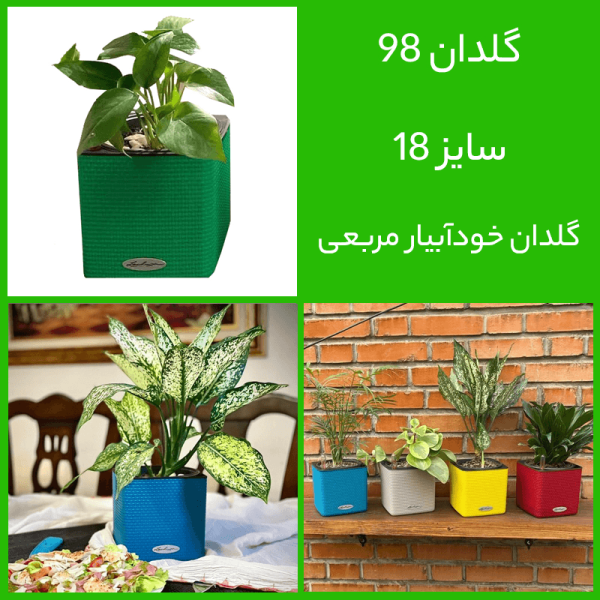 گلدان خودآبیار مربعی