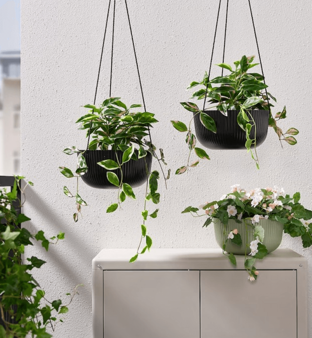 خرید گلدان آویزی