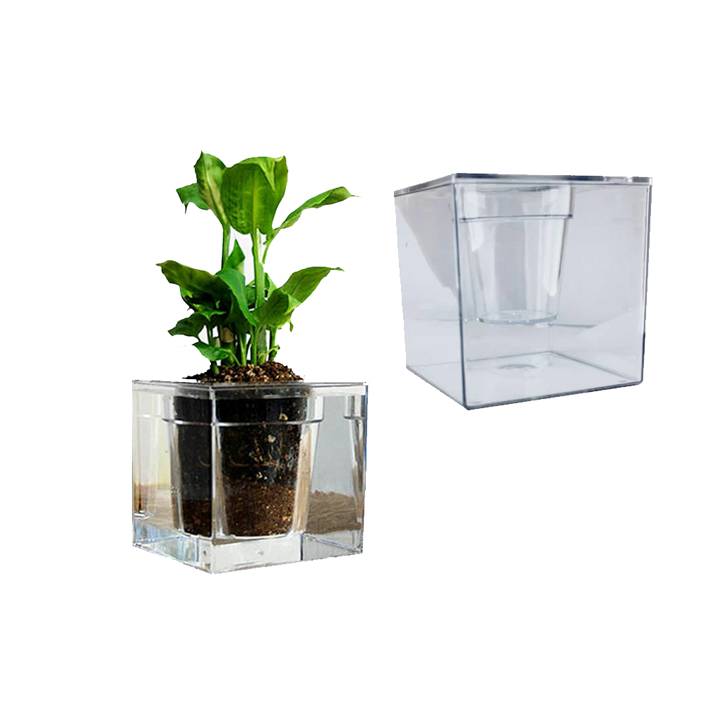 گلدان خودآبیار آکواریومی شفاف