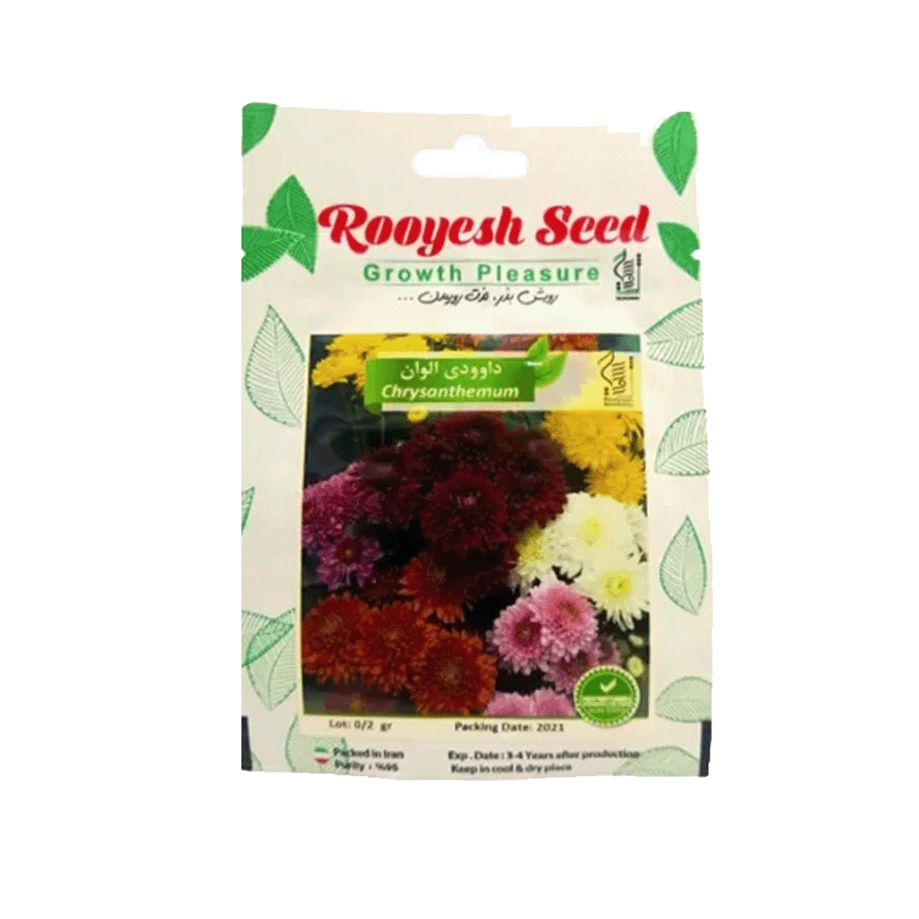 بذر گل داوودی الوان