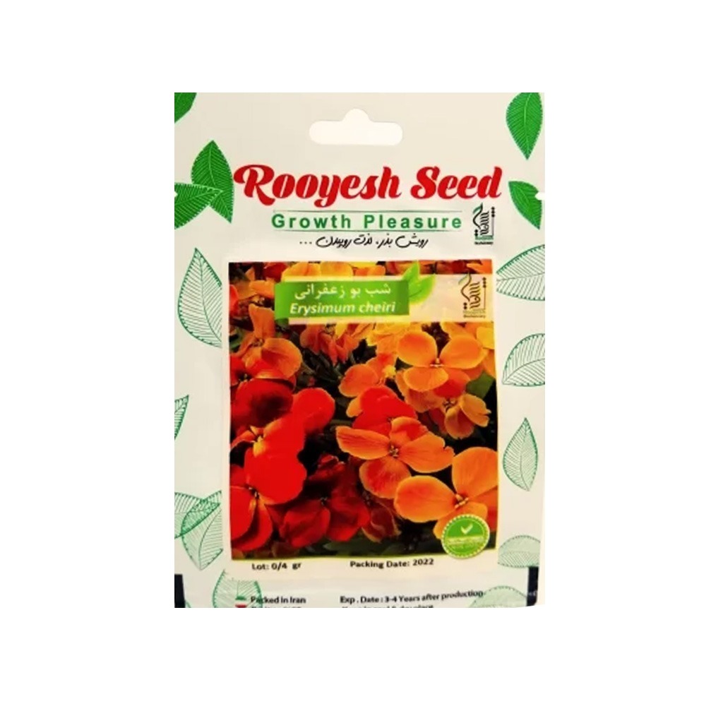 بذر گل شب بو زعفرانی